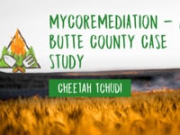 Post-Fire Soil Remediation: Mycoremediation  - A Butte County Case Study