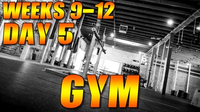 Gym Weeks 9-12 Day 5