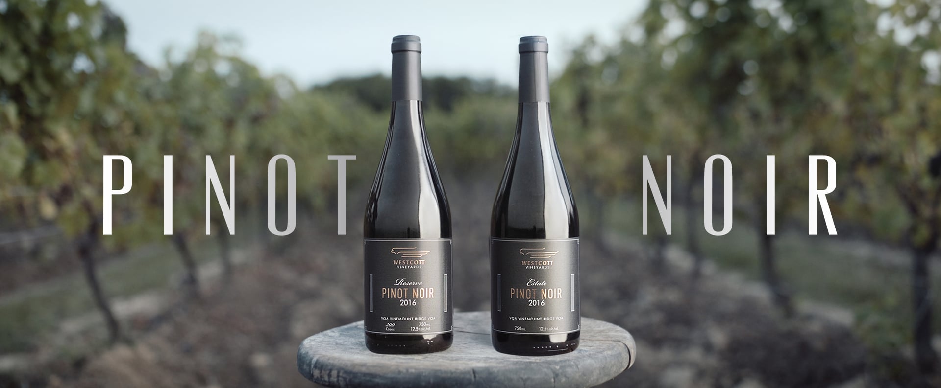 Westcott Pinot Noir on Vimeo
