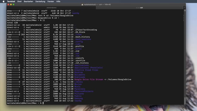 Wichtige Kommandos zur Einführung (*, /, ~, Tab, clear, q, CTRL+C, ⬆️, history, !123, mkdir)