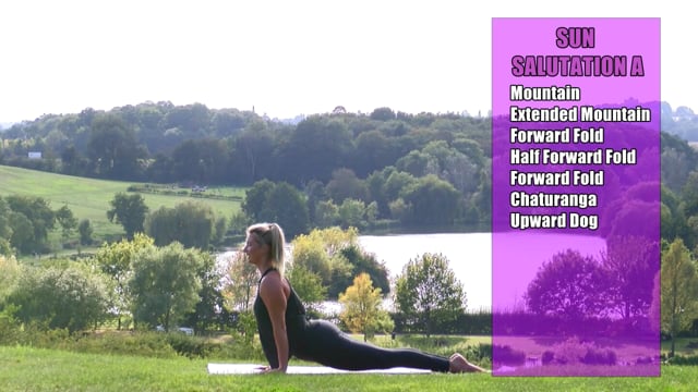 Module 02: Sun Salutation A - Alignment, Breathing - Video Thumbnail