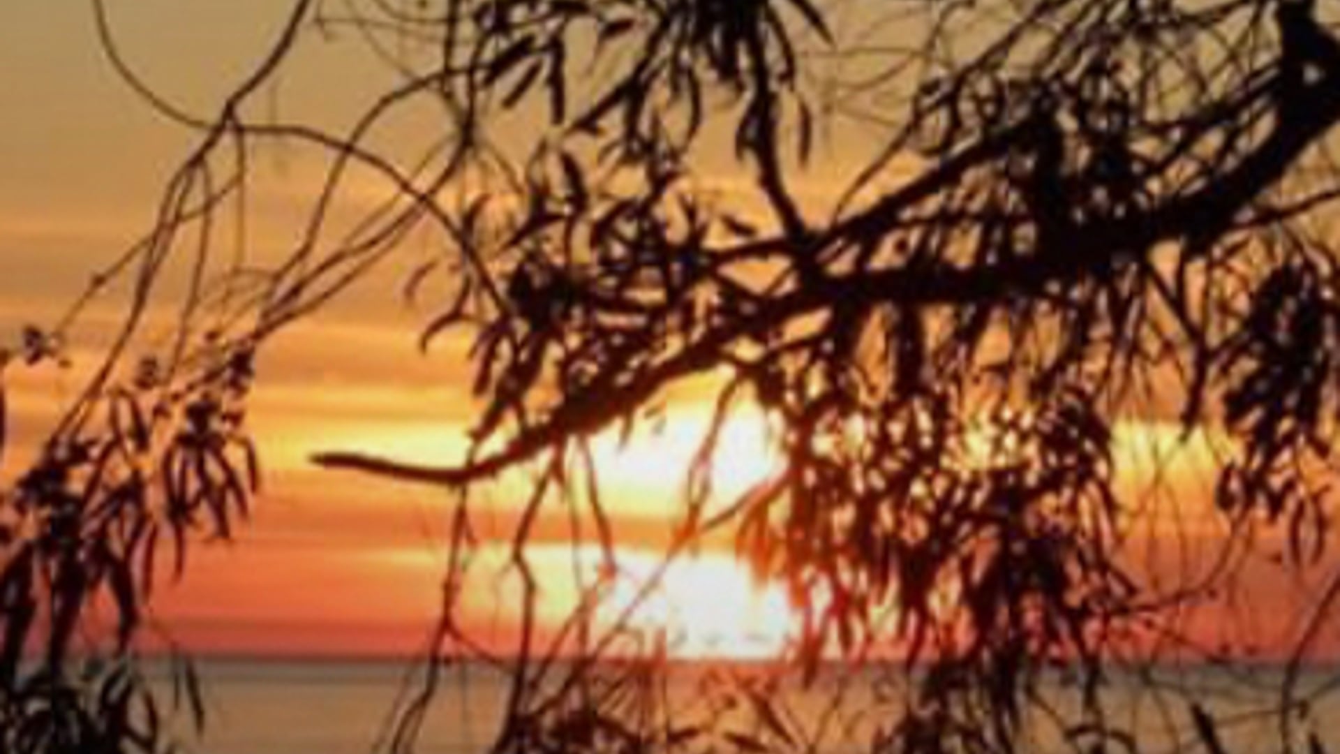 2020 May 12: Settling Back