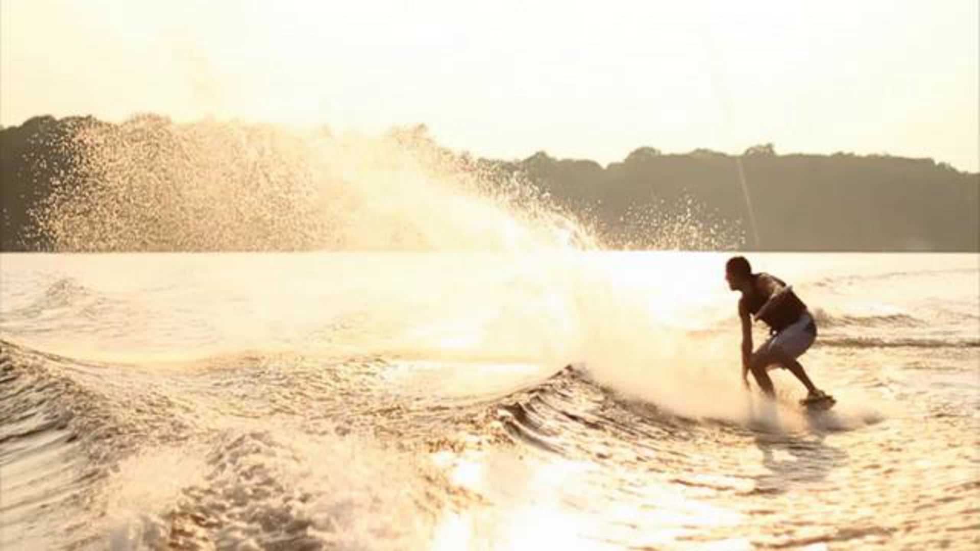 2011 - Dan Brown Wakeskate