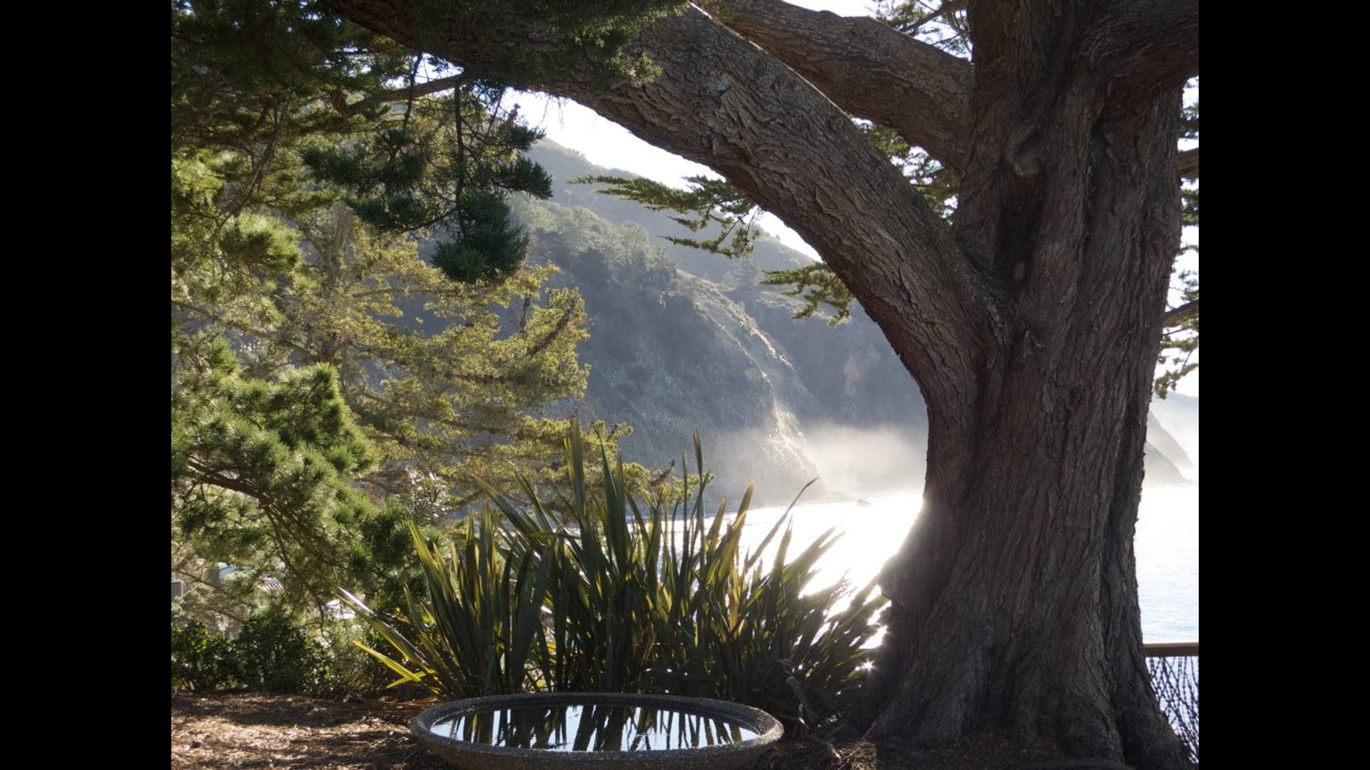 2020 June 27:  The High Art of Equanimity