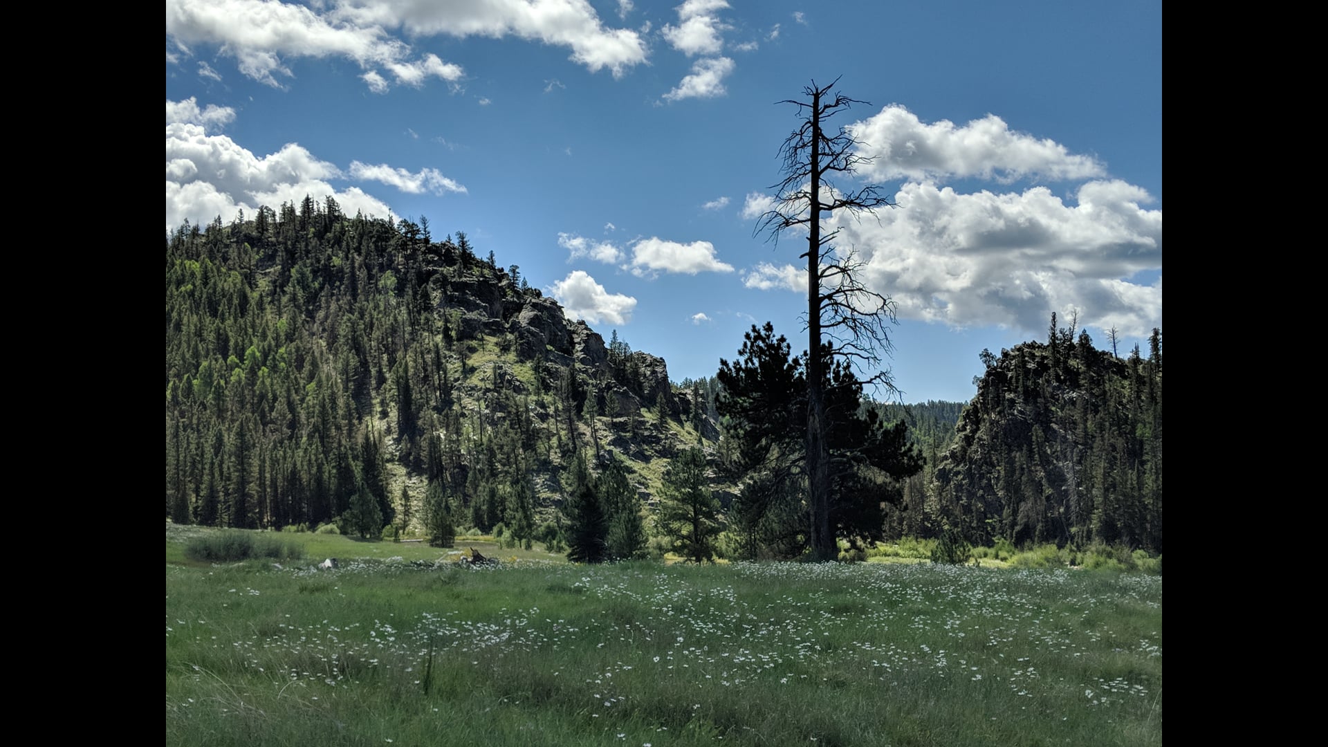 2020 June 29: It Could Have Been Different