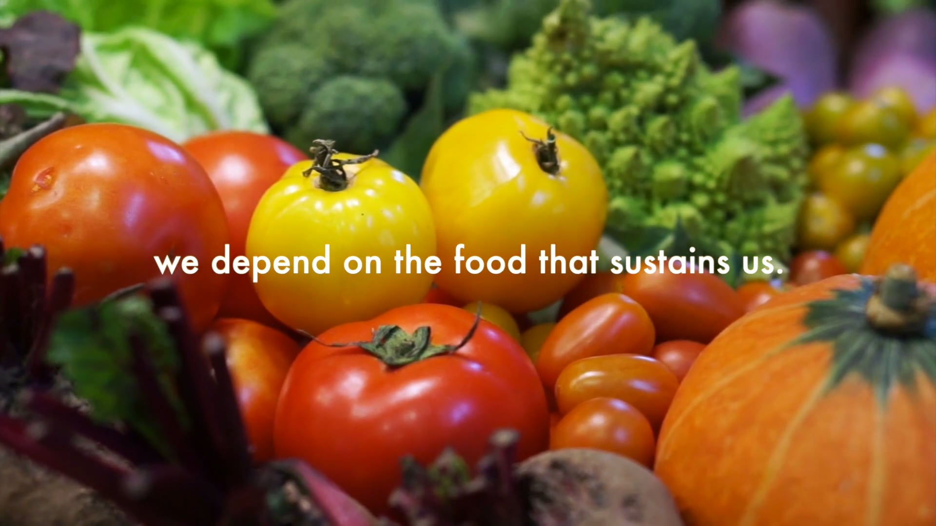 Bioversity for Resilience: A Food Secure World Starts with You