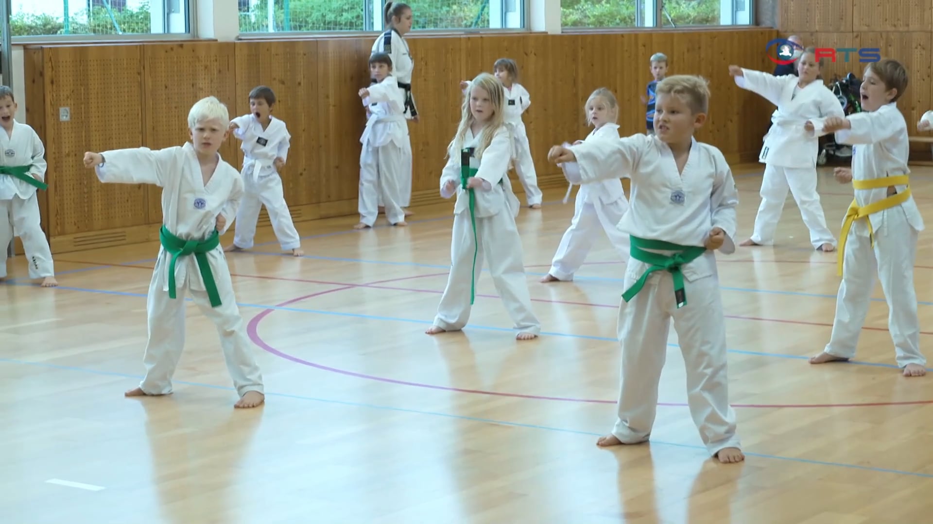 160-teakwondo-sportler-trainieren-in-oberndorf-in-kleinen-gruppen