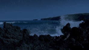 social header