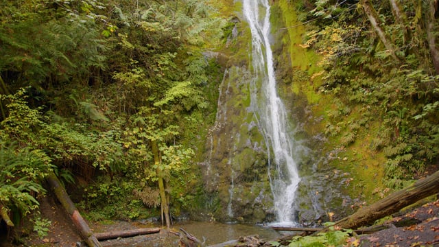 Waterfalls of the Olympic National Park: Madison Falls