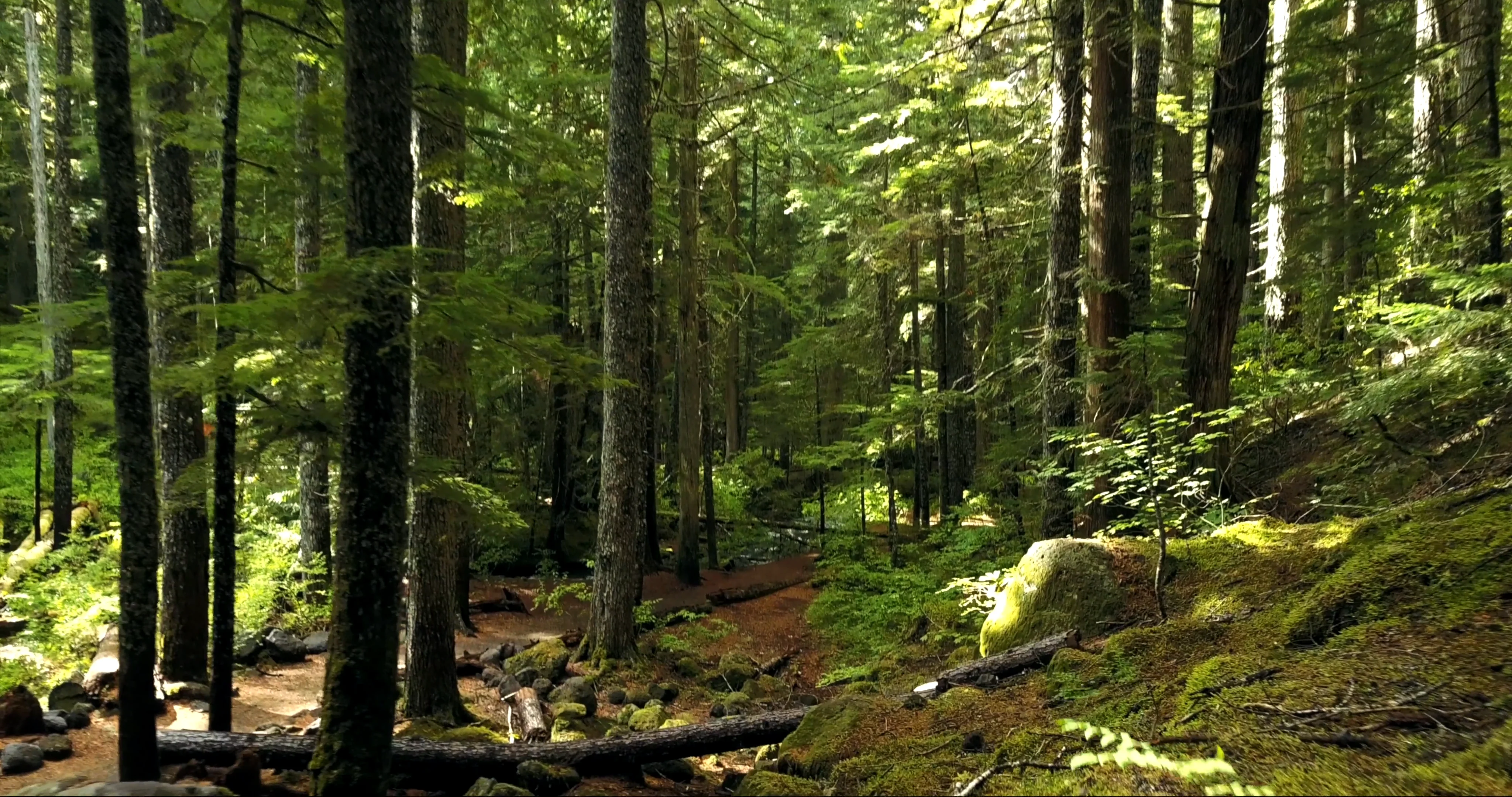 Cimas Slider on Vimeo