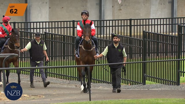 Lot 62