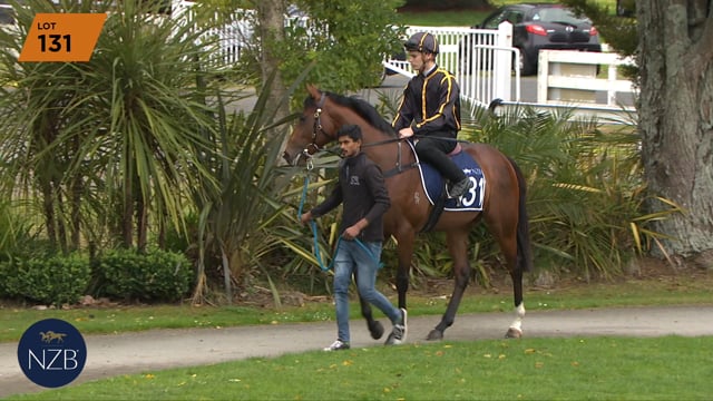 Lot 131