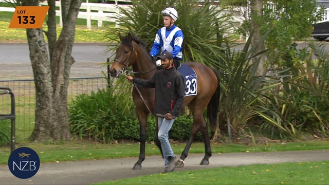 Lot 133