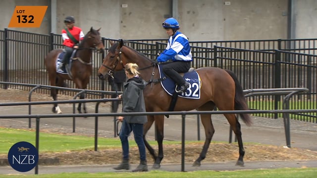Lot 132