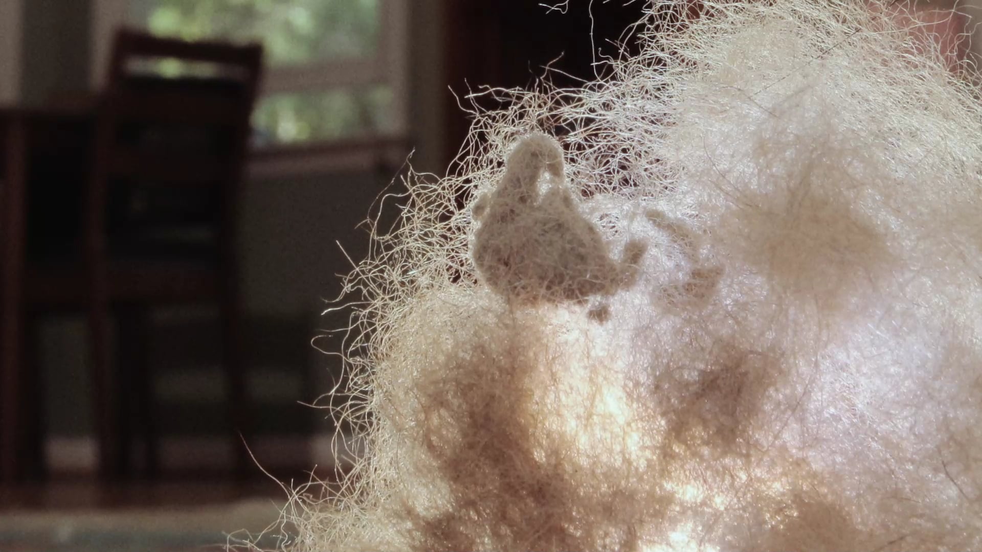 DUST DEVIL | Opening Sample | v1