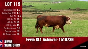 Lot #119 - RL1 ACHIEVER 151973N
