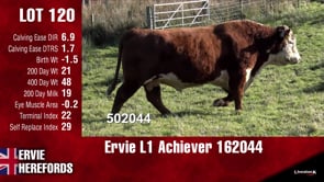 Lot #120 - L1 ACHIEVER 162044