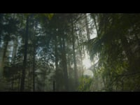 Sounds of Nature