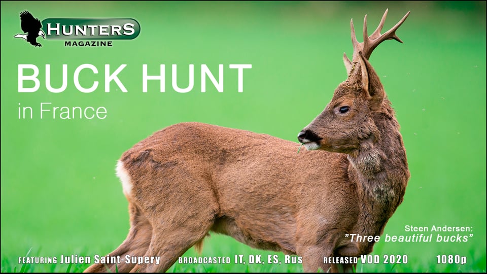 Buck Hunting in France