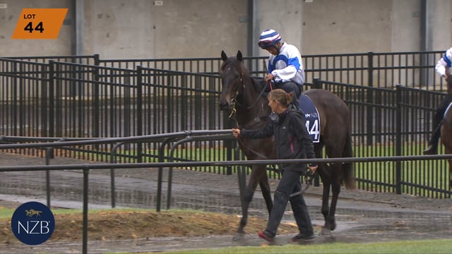 Lot 44