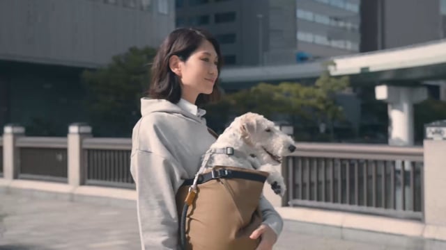 ERVA スリング 未使用 20kg 大きいわんこ用