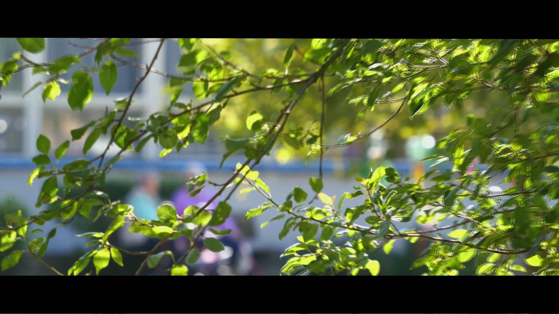 LIBOCHOVICE prezentační video města