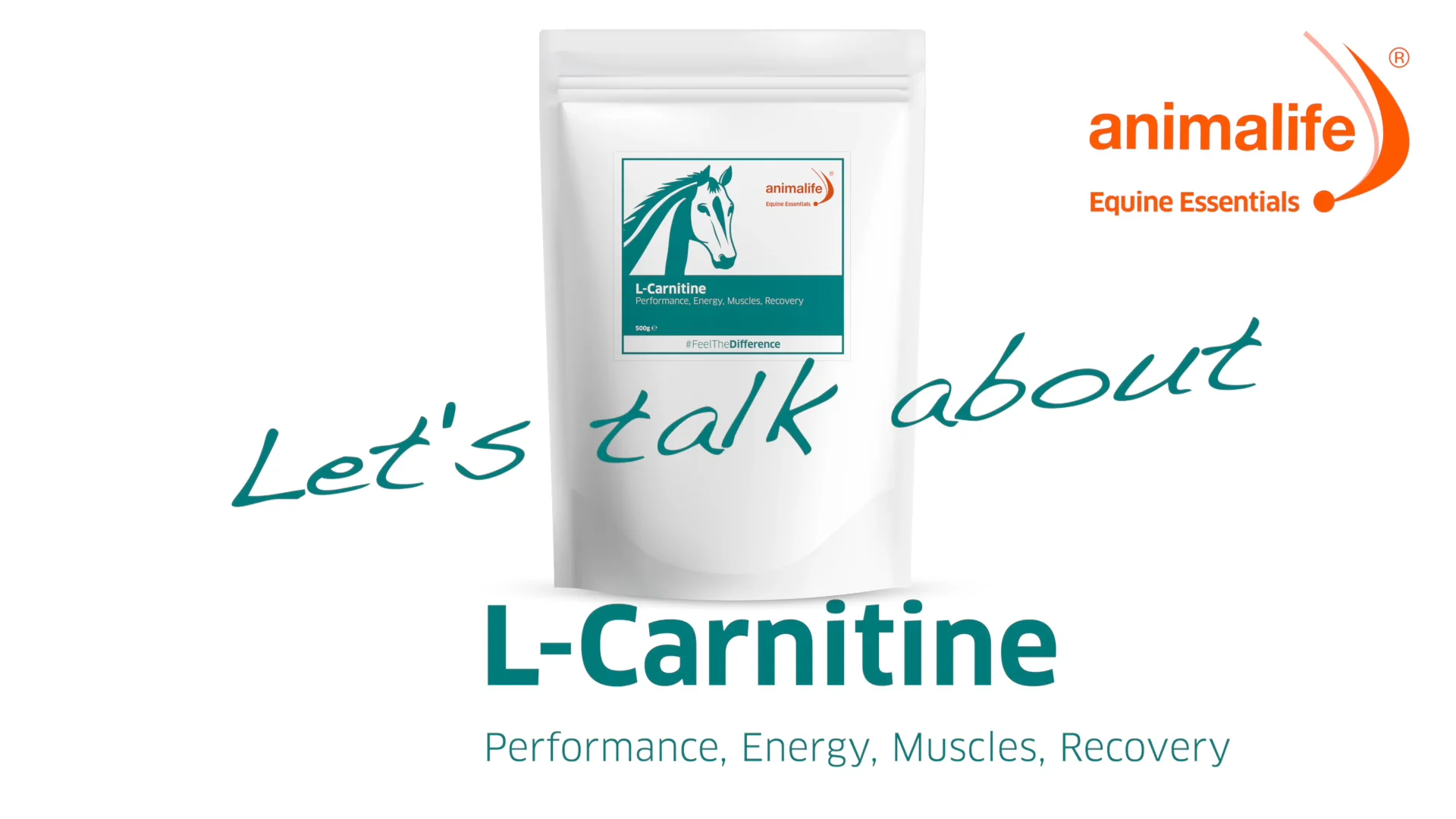 l carnitine horse Nupafeed L-Carnitine Daily Liquid 1 Liter main image 1