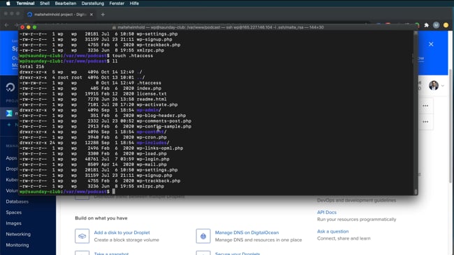 WordPress installieren