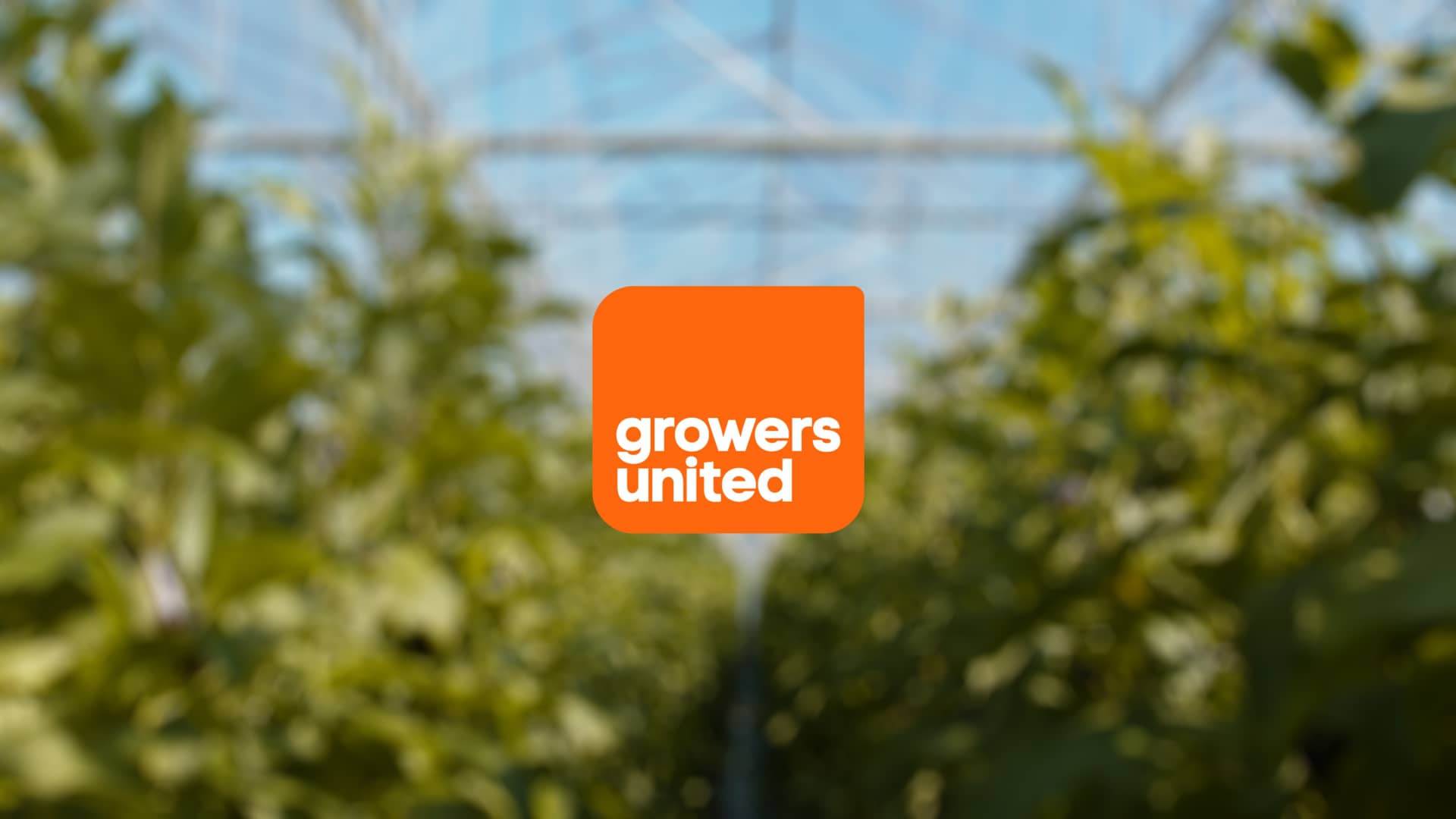 Growers United Brandfilm on Vimeo