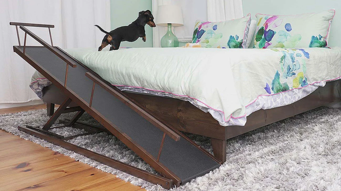 Pet ramp for bedroom best sale