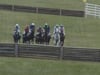 Virginia Fall Races - Race 8