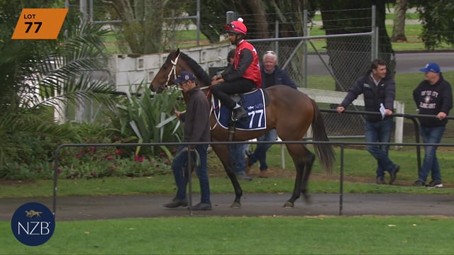 Lot 77
