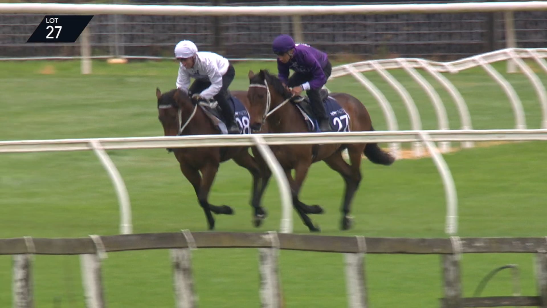 RELIABLE MAN X PROSPECT - Breeze Up