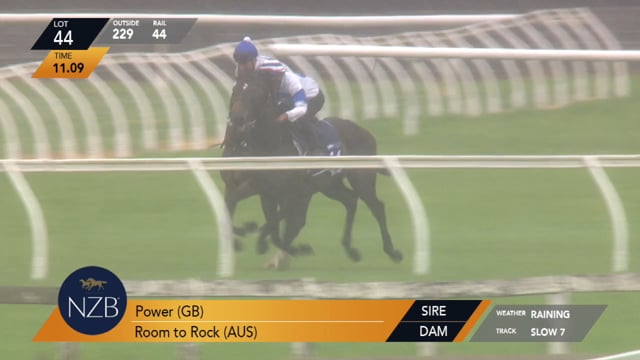 Lot 44