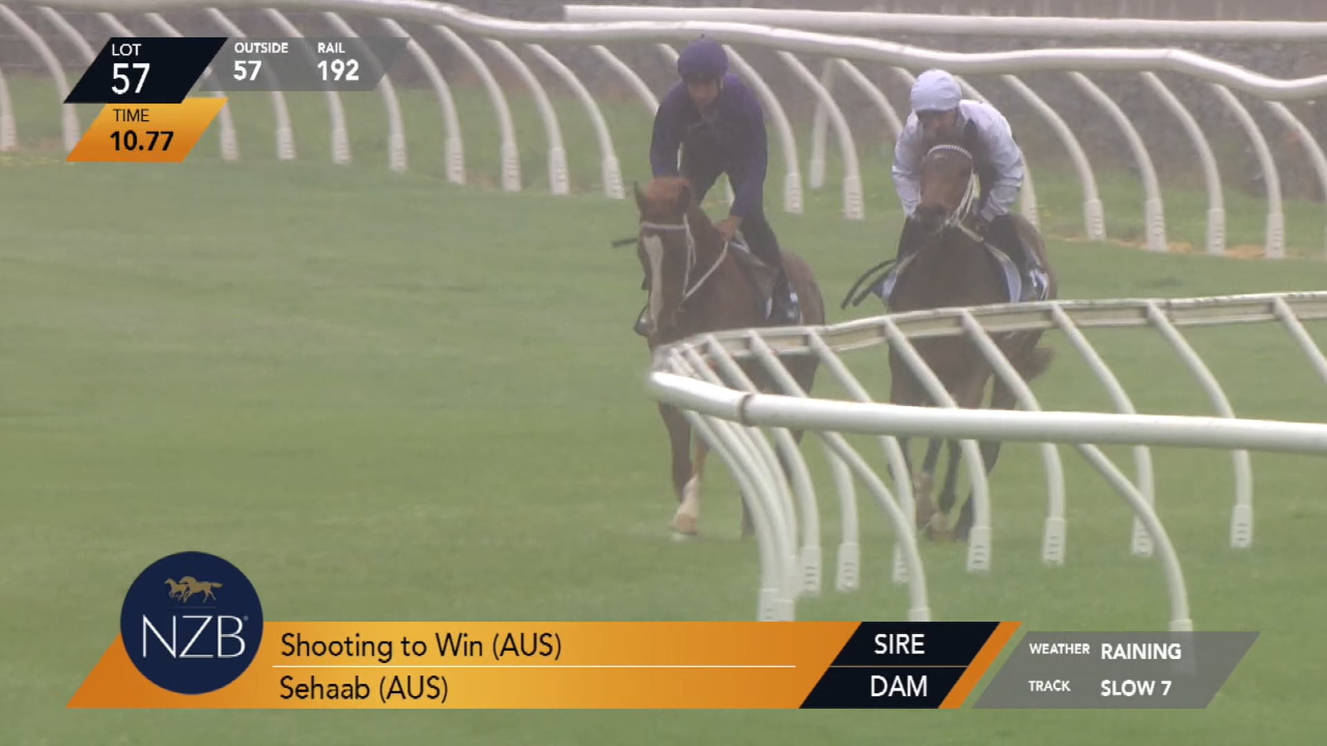 SHOOTING TO WIN X SEHAAB - Breeze Up