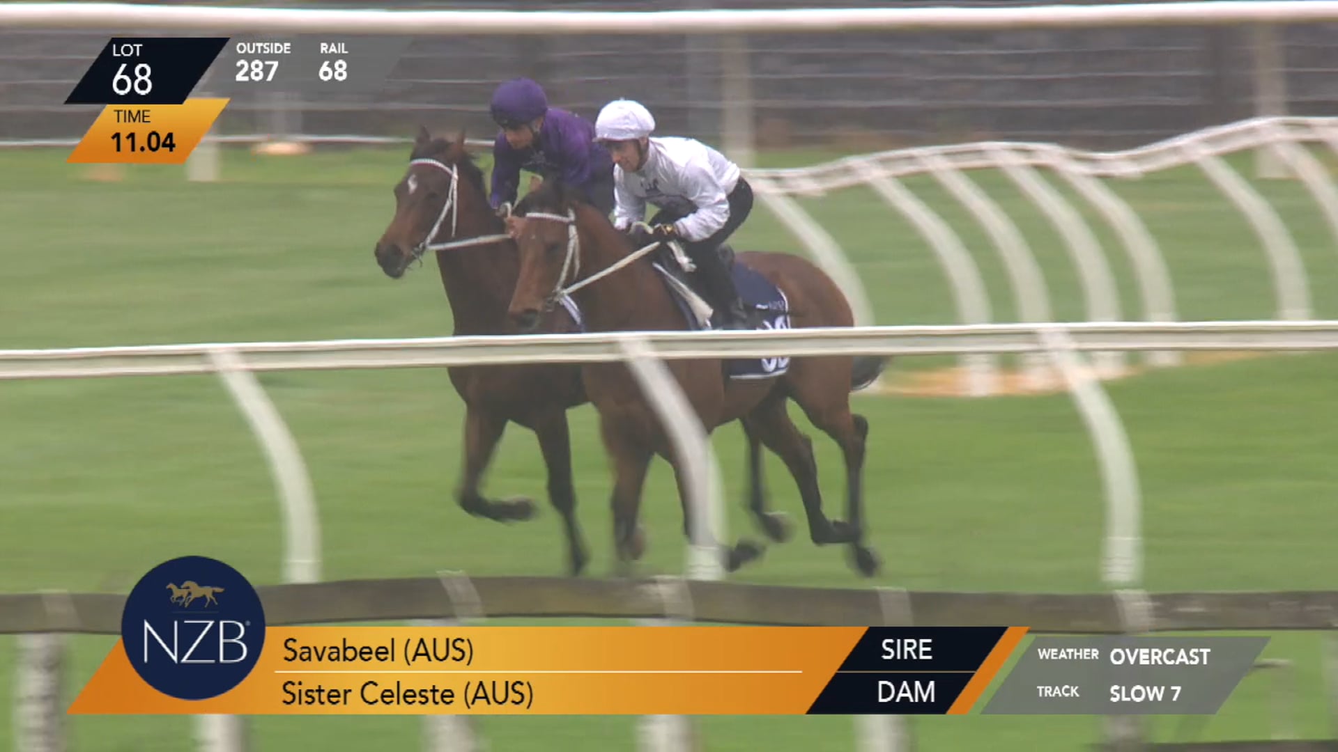 SAVABEEL X SISTER CELESTE - Breeze Up