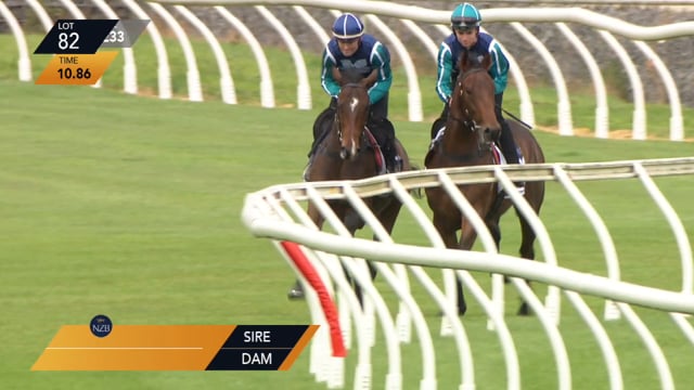 Lot 82