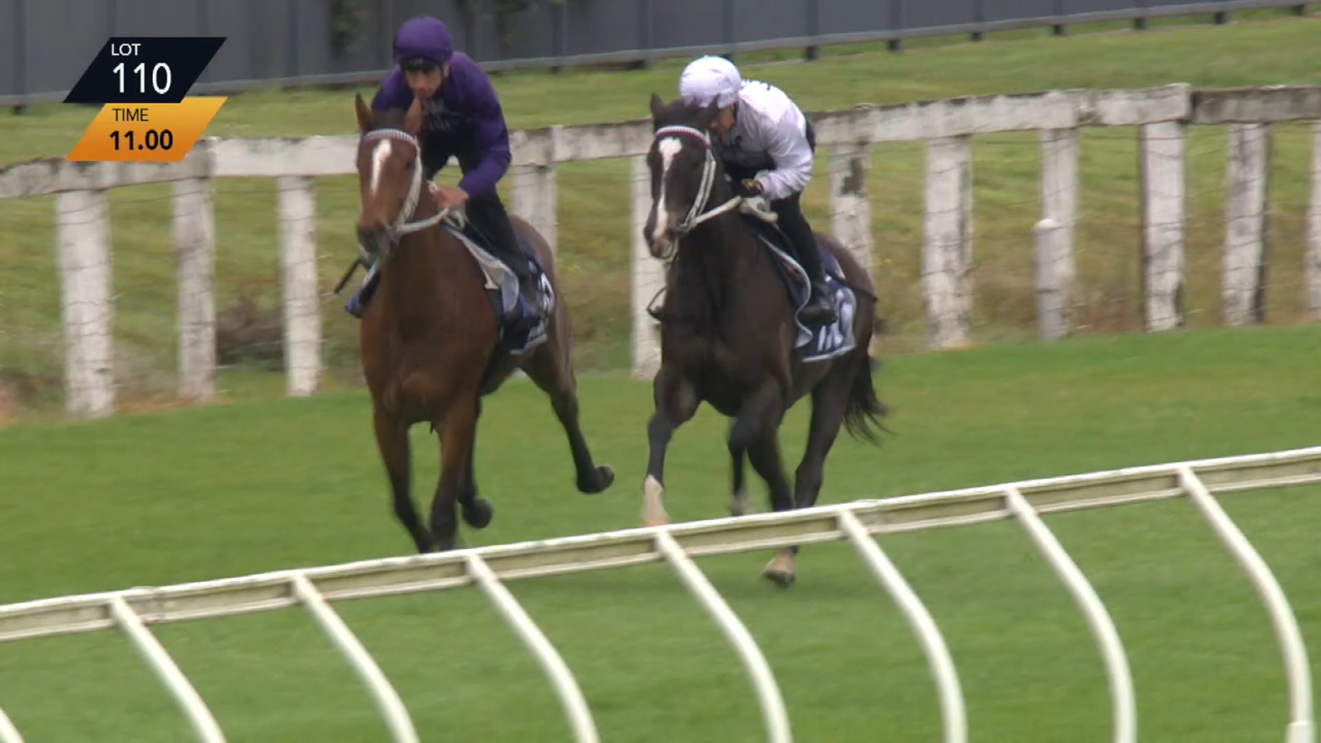 REDWOOD X WANDANE - Breeze Up