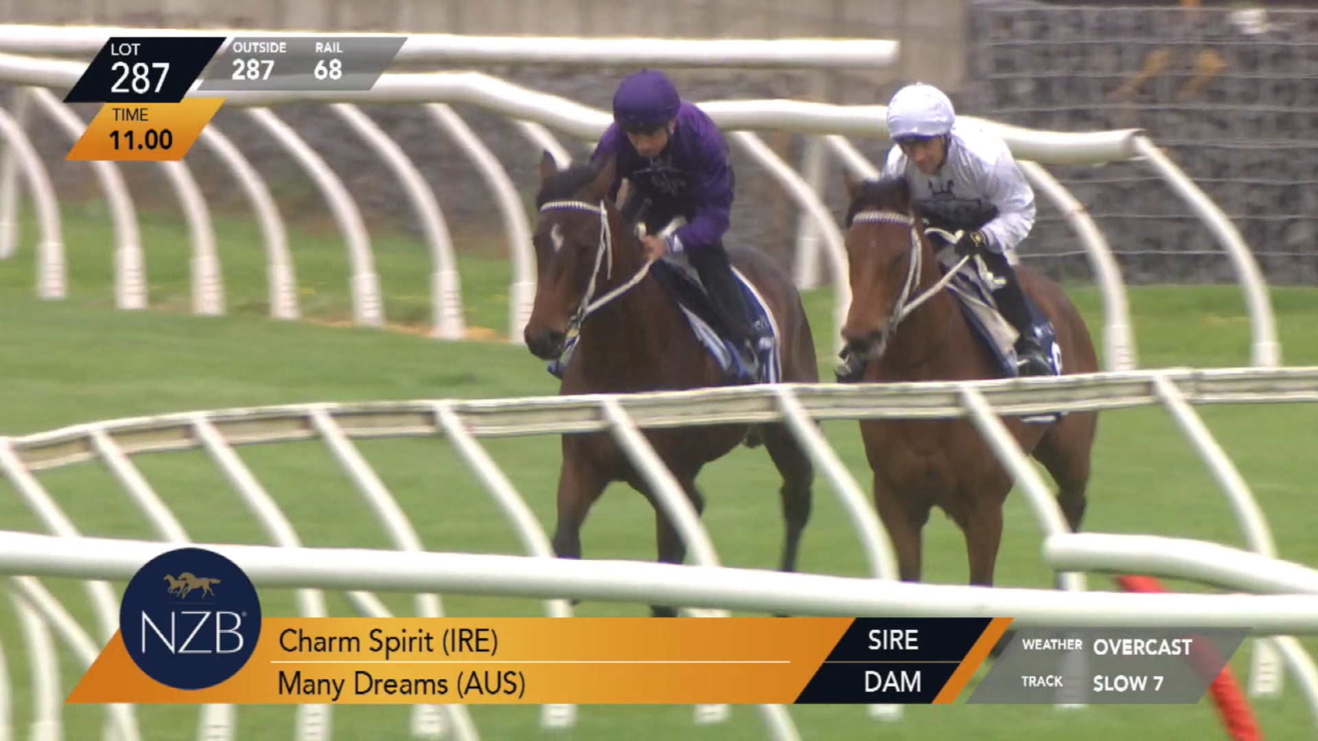 CHARM SPIRIT X MANY DREAMS - Breeze Up