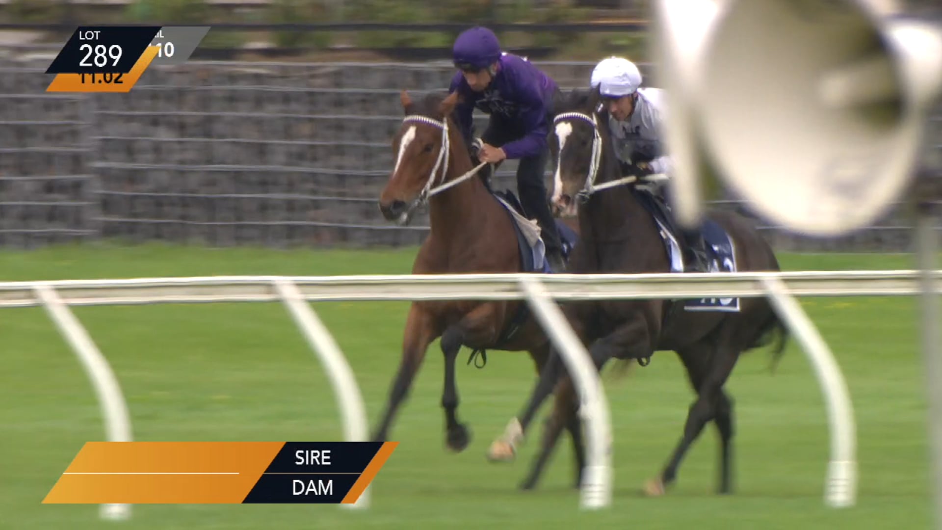 BELARDO X MARFONTEYN - Breeze up