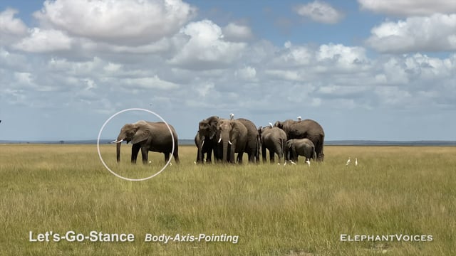 Lets-Go-Stance. Context: Movement Space & Leadership (7)