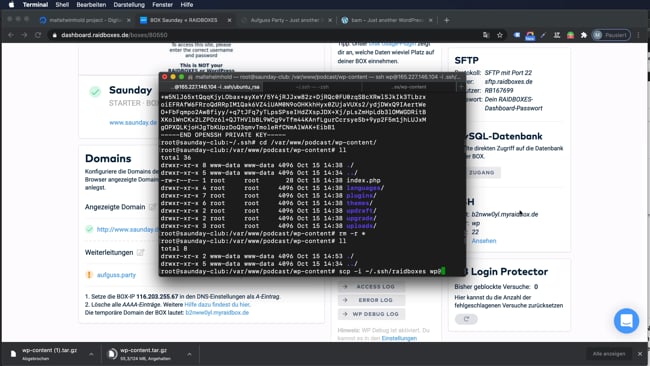 Raidboxes -> Ubuntu (WordPress)