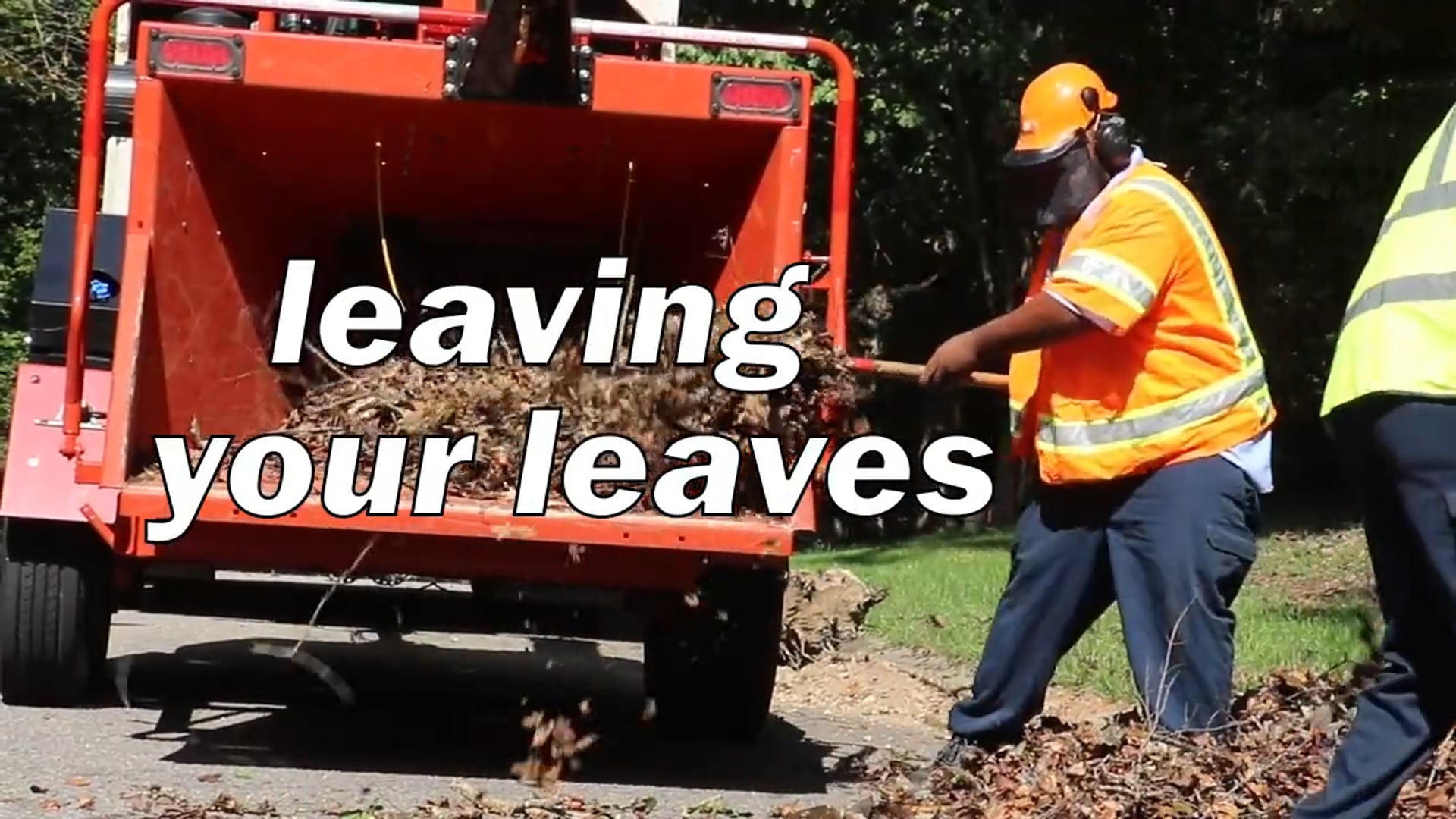 Leaving Your Leaves