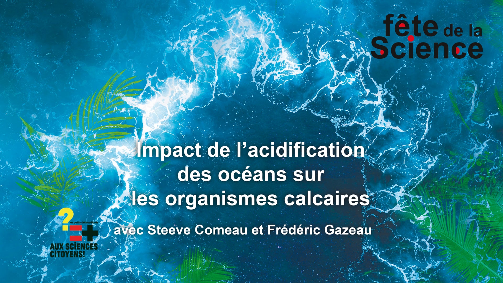 Impact de l’acidification des océans sur les organismes calcaires - avec Steeve Comeau et Frédéric Gazeau - Live