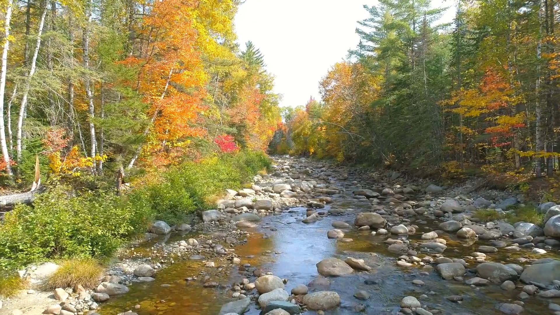 Acreage in Byron Maine on Vimeo