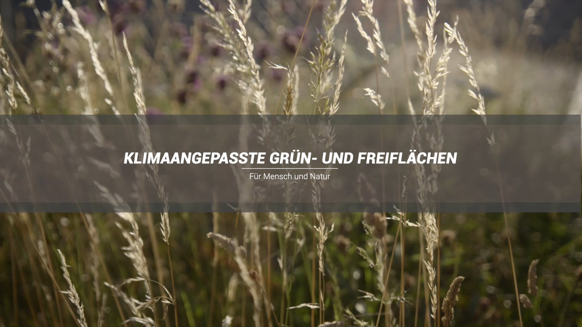 Klimaangepasste Grün- und Freiflächen