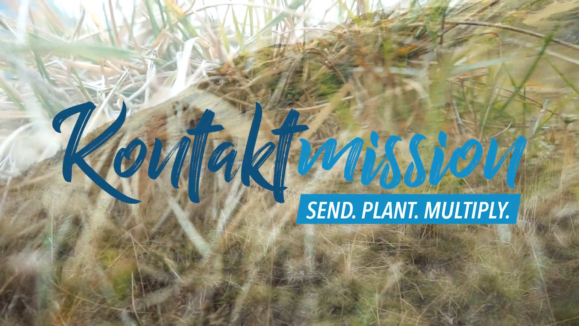 Robersons in Romania 2020 Promo | Kontaktmission