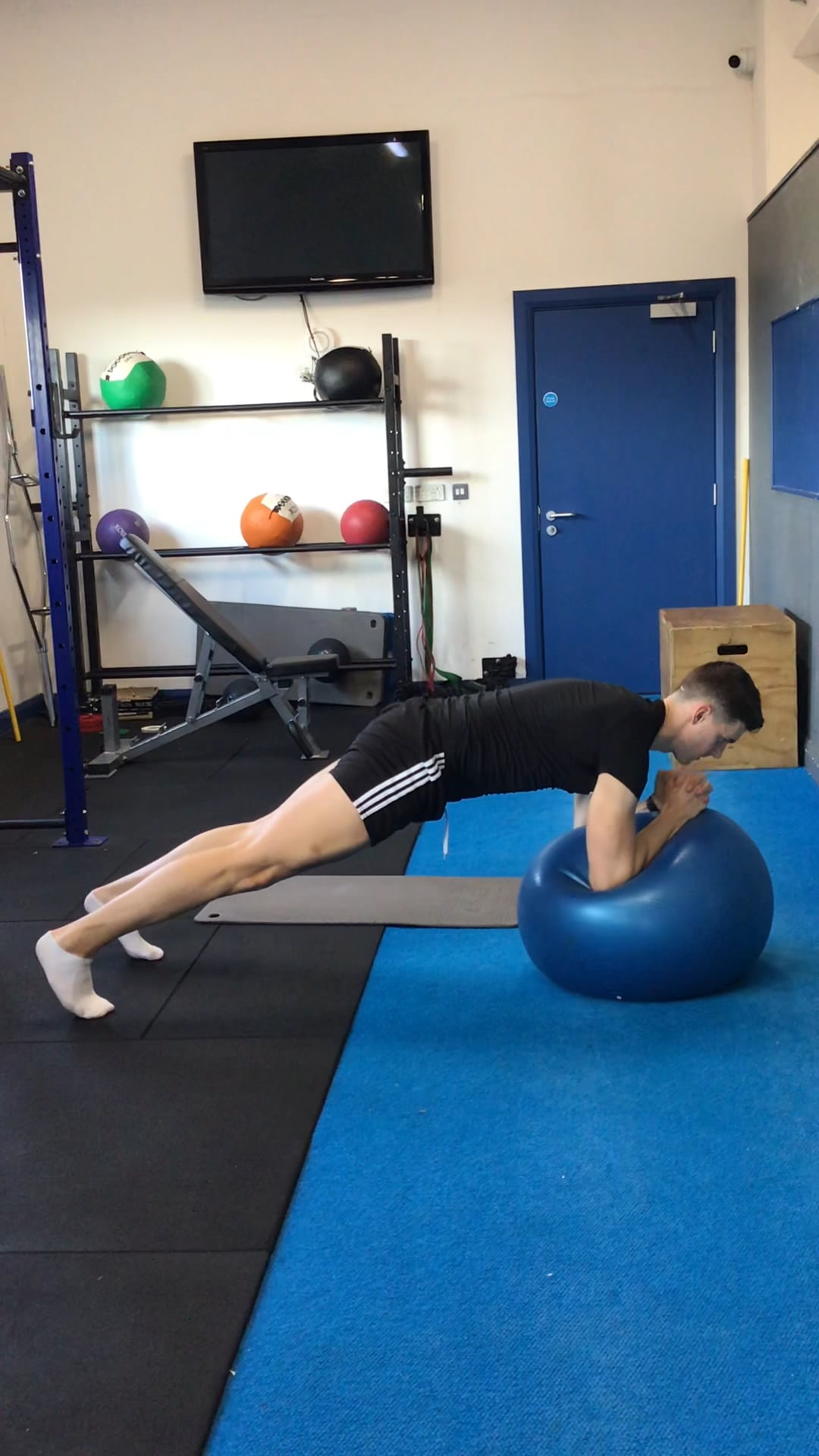 Swiss Ball Plank Rotations on Vimeo