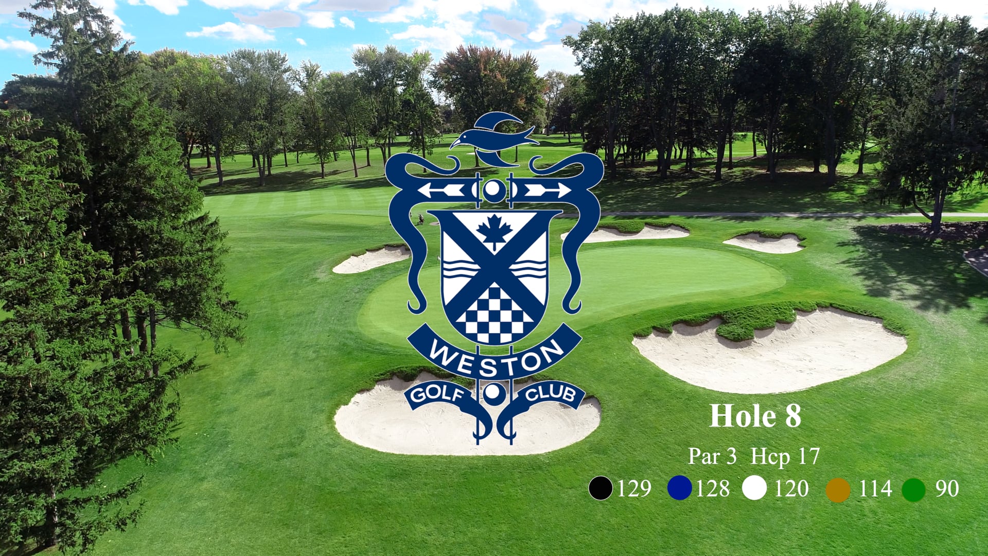 Weston Hole #8