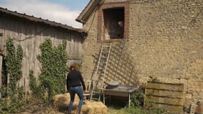 DES FEMMES EN JAUNE